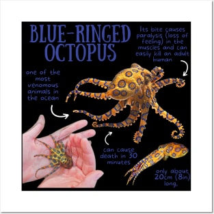 Animal Facts - Blue-ringed Octopus Posters and Art